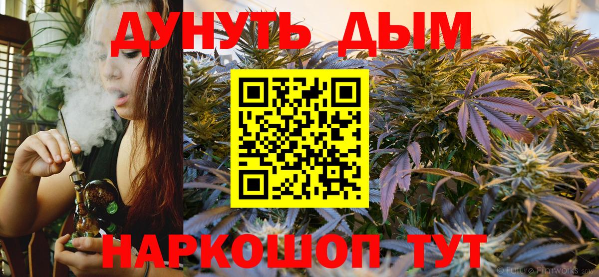 Каннабис конопля Усть-Джегута